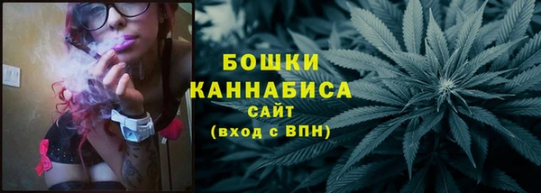 PSILOCYBIN Лагань
