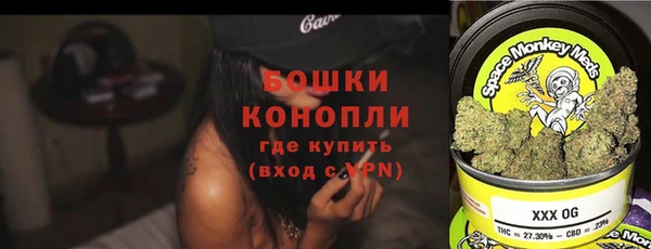 PSILOCYBIN Лагань