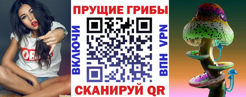 Псилоцибиновые грибы Psilocybe  Купить  Белый 